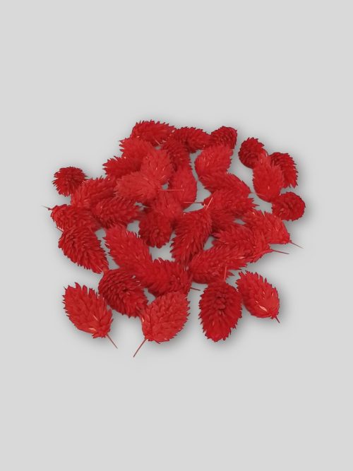 Fénymag fejek piros színben