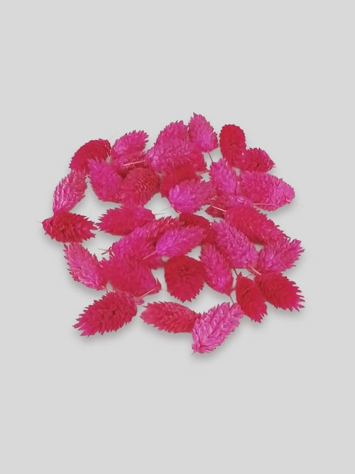 Fénymag fejek - rózsaszín