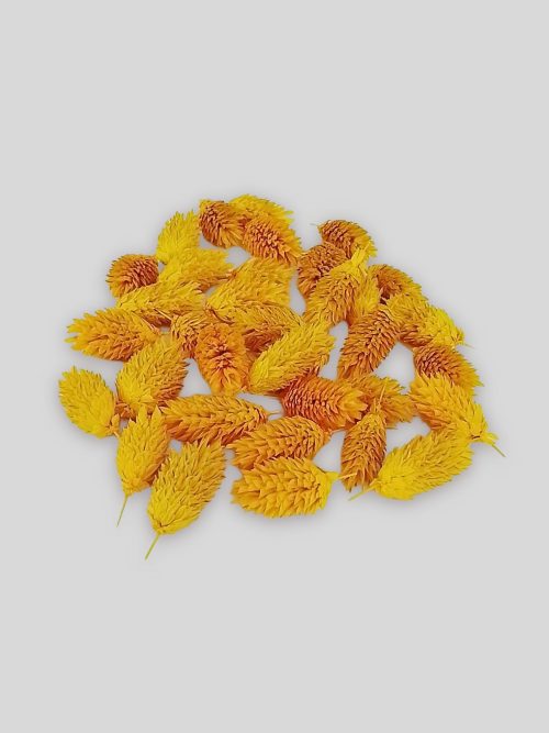 Fénymag fejek sárga színben