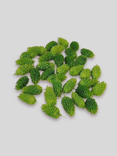 Fénymag fejel zöld színben