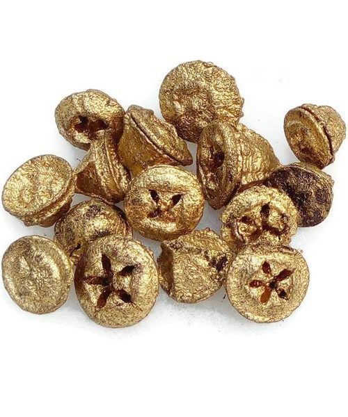 Eukalyptus gomb (arany)