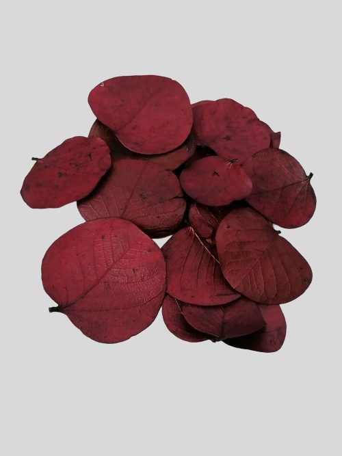 Moneta levél - bordó