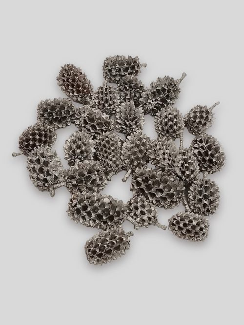 Casuarina ezüst színben