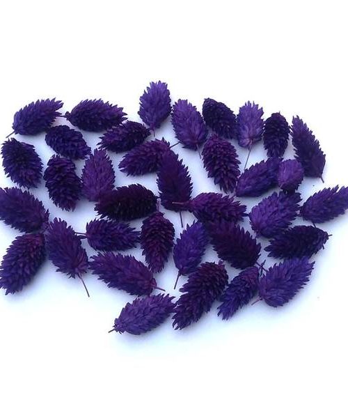 Fénymag fejek – lila