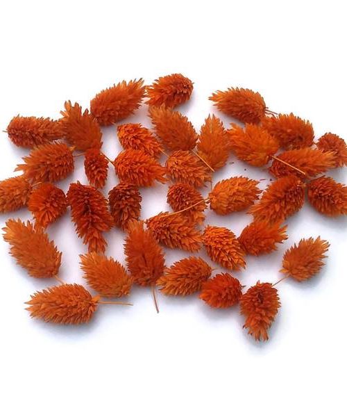 Fénymag fejek – narancs