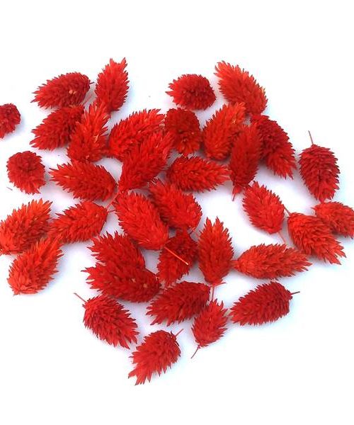 Fénymag fejek – piros