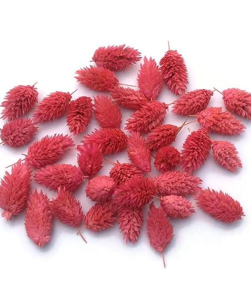 Fénymag fejek – rózsaszín