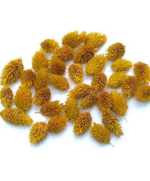 Fénymag fejek – sárga