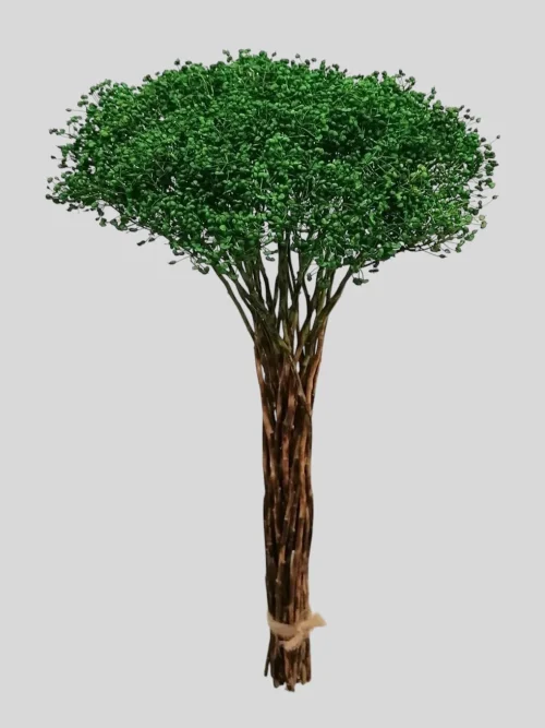 Lepidium szárazvirág csokor – zöld