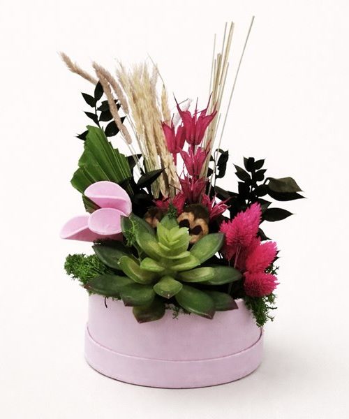 Asztaldísz kövirózsával