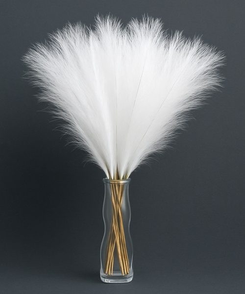 mű pampafű fehér színben