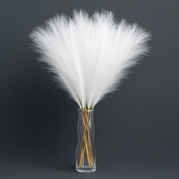 mű pampafű fehér színben