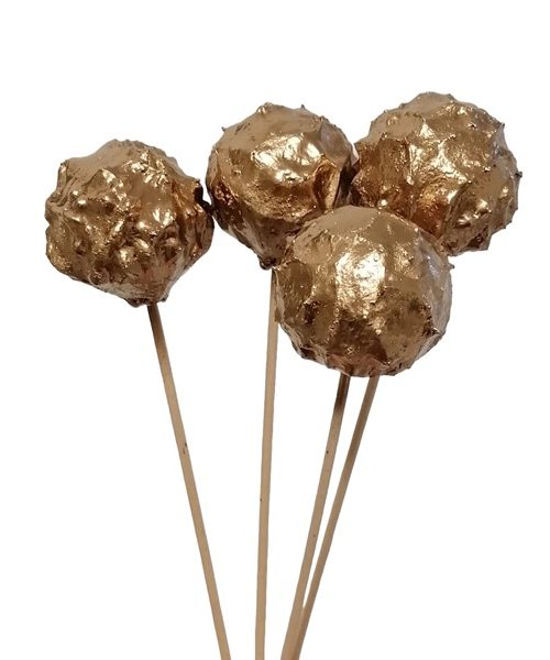 Arany gubacs pálcás