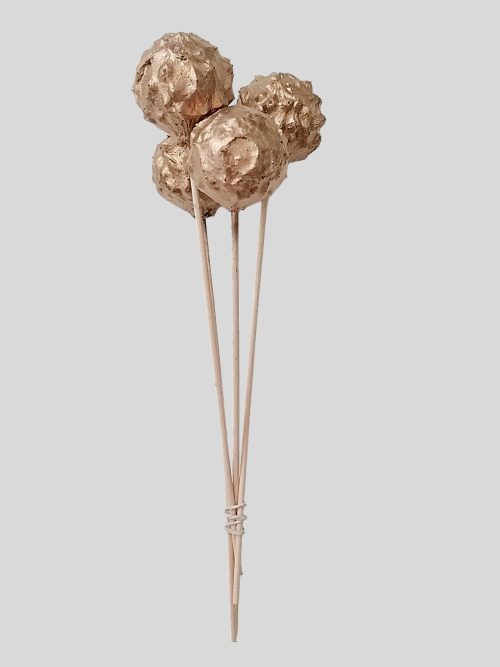 Pálcás gubacs - arany