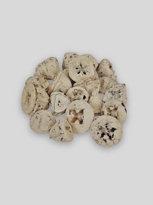 Eukalyptus gomb fehér színben