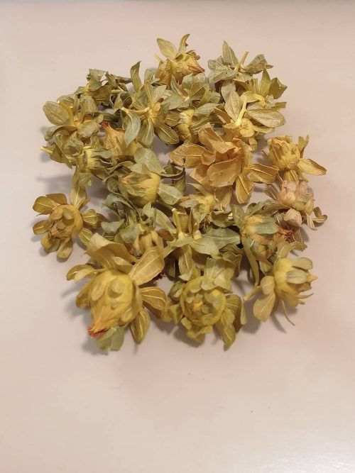 sáfrányfejek - sárga