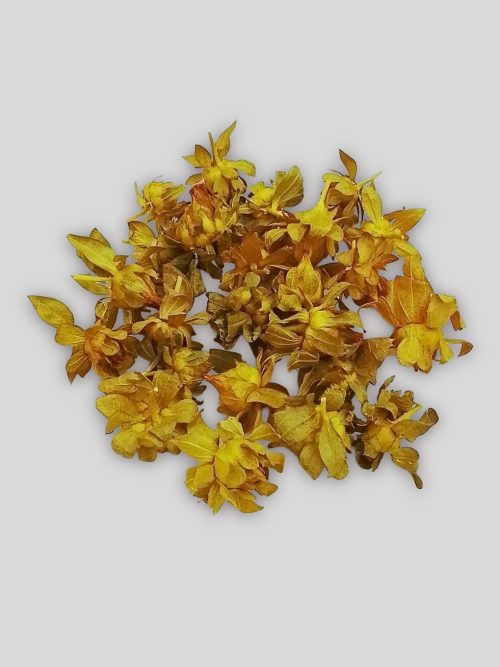 Sáfrányfejek sárga színben