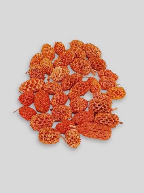 Casuarina narancs színben