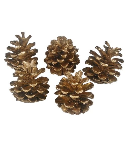 Feketefenyő toboz (arany)