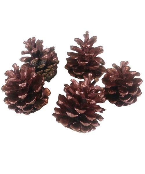 Feketefenyő toboz (bronz)