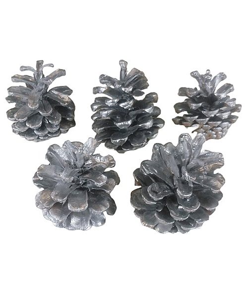 Feketefenyő toboz (ezüst)