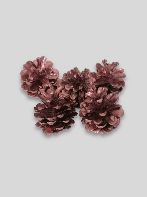 Feketefenyő toboz - bronz