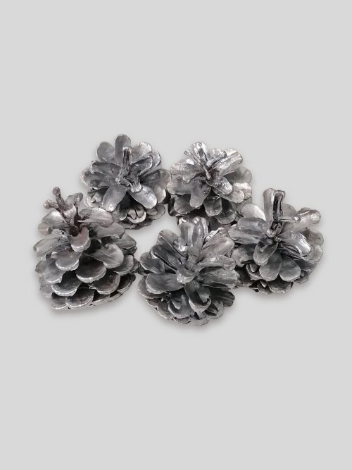 Feketefenyő toboz - ezüst